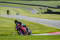 Middle Group Red Bikes